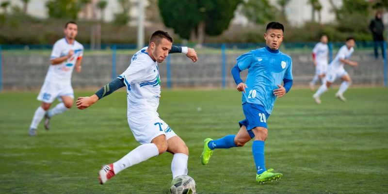 pexels-aleksandar069-3684122